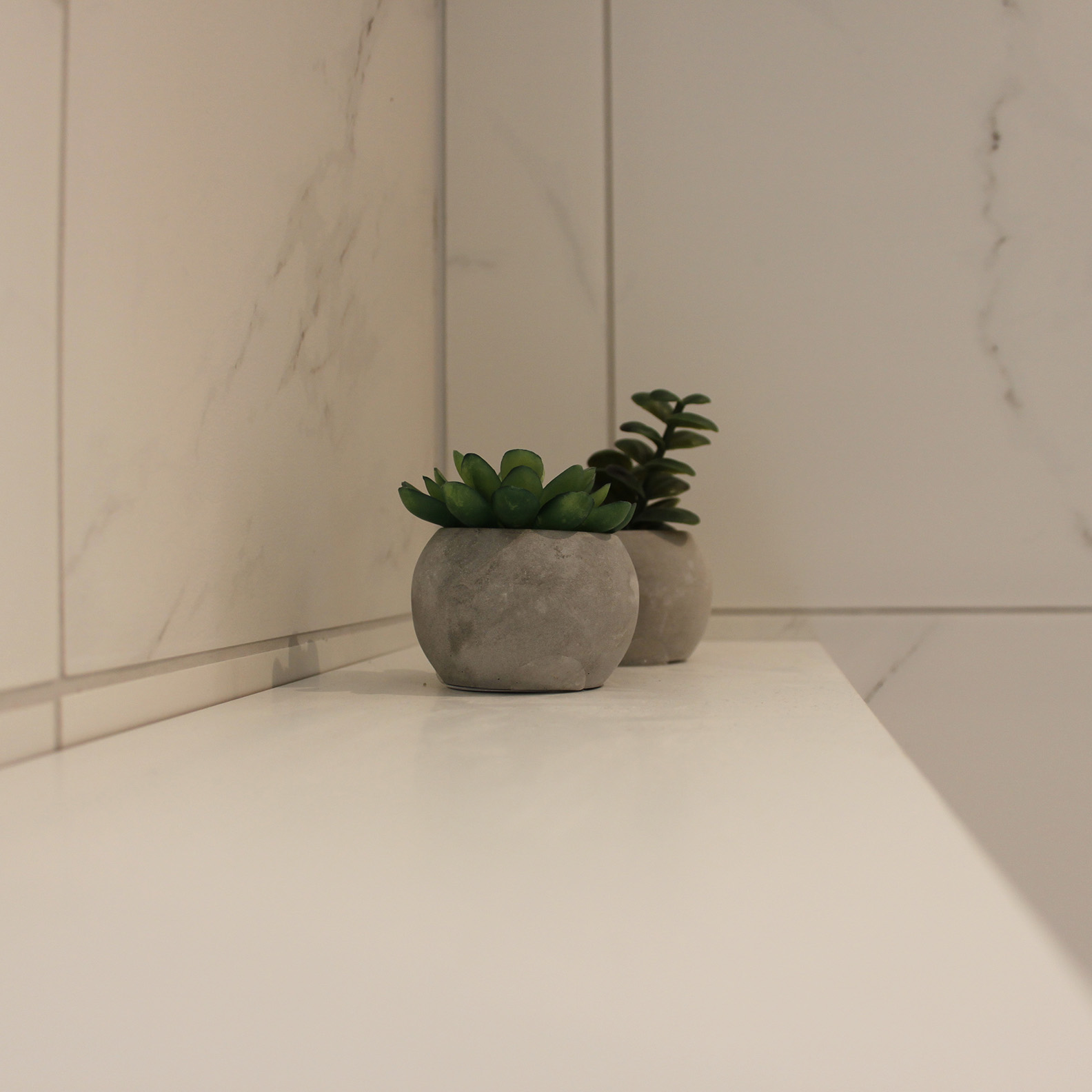 plante på badeværelse